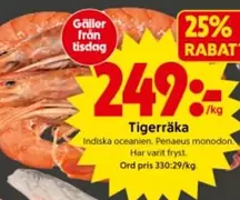Indiska - Tiger räka