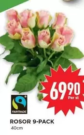 fairtrade - ROSOR 9-PACK
