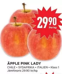 APPLE PINK LADY