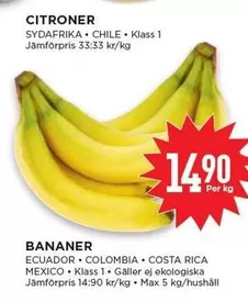 BANANER
