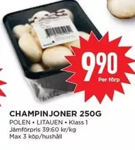 CHAMPINJONER