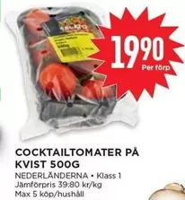 COCKTAILTOMATER PÅ KVIST