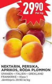 NEKTARIN, PERSIKA, APRIKOS, RÖDA PLOMMON