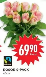 fairtrade - ROSOR 9-PACK