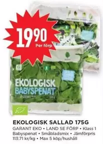 EKO - LOGISK BABYSPENAT