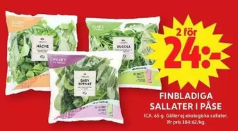 FINBLADIGA SALLATER I PASE