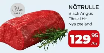 NÖTRULLE