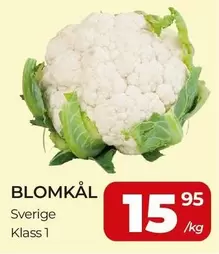 BLOMKÅL