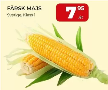 FÄRSK MAJS