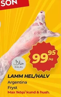 LAMM HEL/HALV