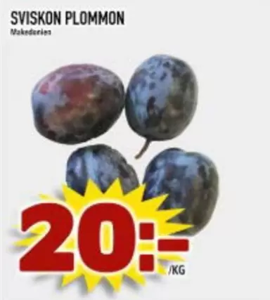 SVISKON PLOMMON