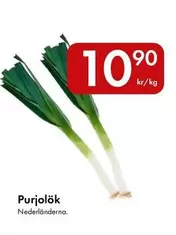 Purjolök