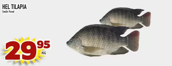 HEL TILAPIA