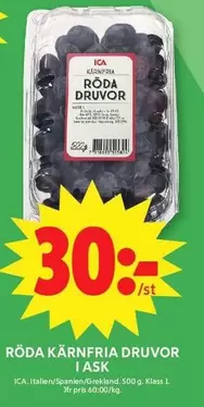 Röda kärnfria druvor