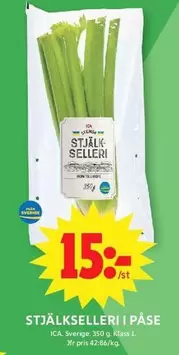 STJÄLKSELLERI I PÅSE