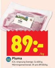 Pluma