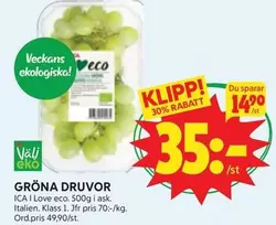EKO - GRÖNA DRUVOR
