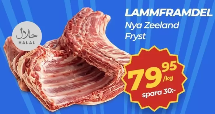 LAMMFRAMDEL