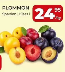 Plommon