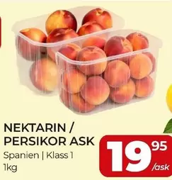 NEKTARIN / PERSIKOR ASK