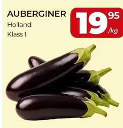 AUBERGINER