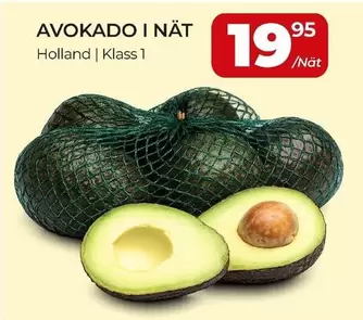 Avokado i nät