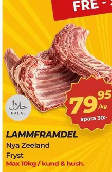 LAMMFRAMDEL