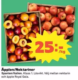 Äpplen/Nektariner