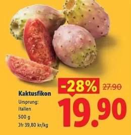 Kaktusfikon