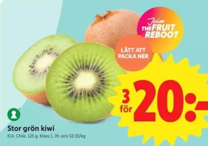 Stor grön kiwi