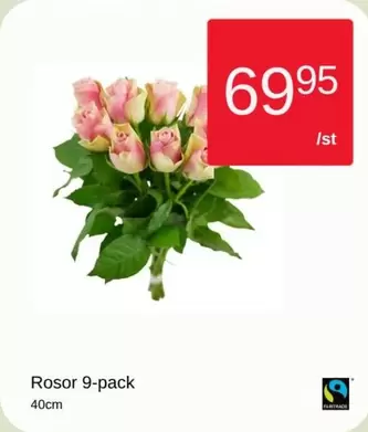 fairtrade - Rosor 9-pack