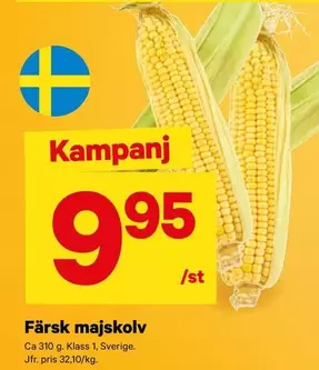 Färsk majskolv