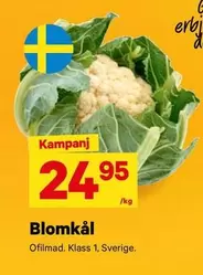 Blomkål