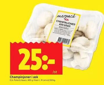 Champinjoner