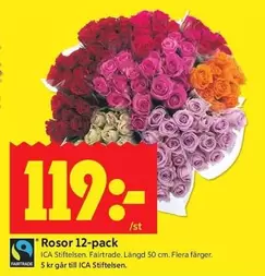 fairtrade - Rosor 12-pack