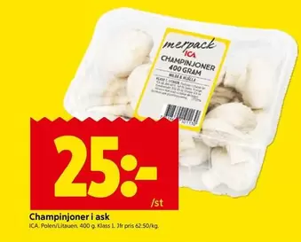 Champinjoner