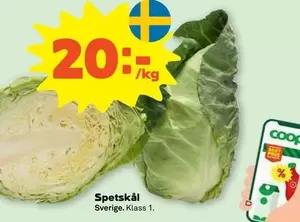 Coop - Spetskål