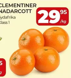 CLEMENTINER NADARCOTT