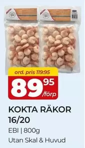 KOKTA RAKOR 16/20