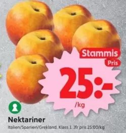 Nektariner