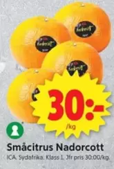 Småcitrus