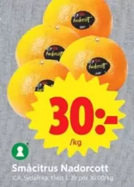 Småcitrus