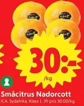 Småcitrus Nadorcott