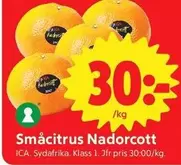 Småcitrus Nadorcott