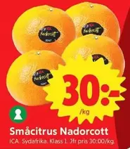 Småcitrus Nadorcott