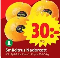 Småcitrus Nadorcott