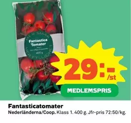 Fantasticatomater