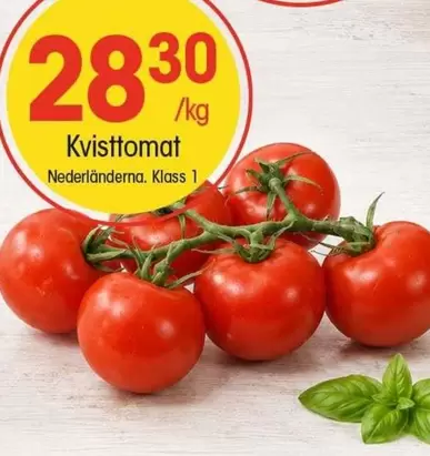 Kvisttomater