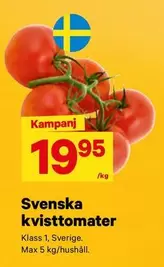 Svenska kvisttomater
