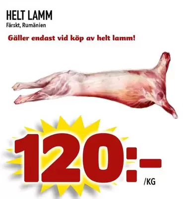 HELT LAMM